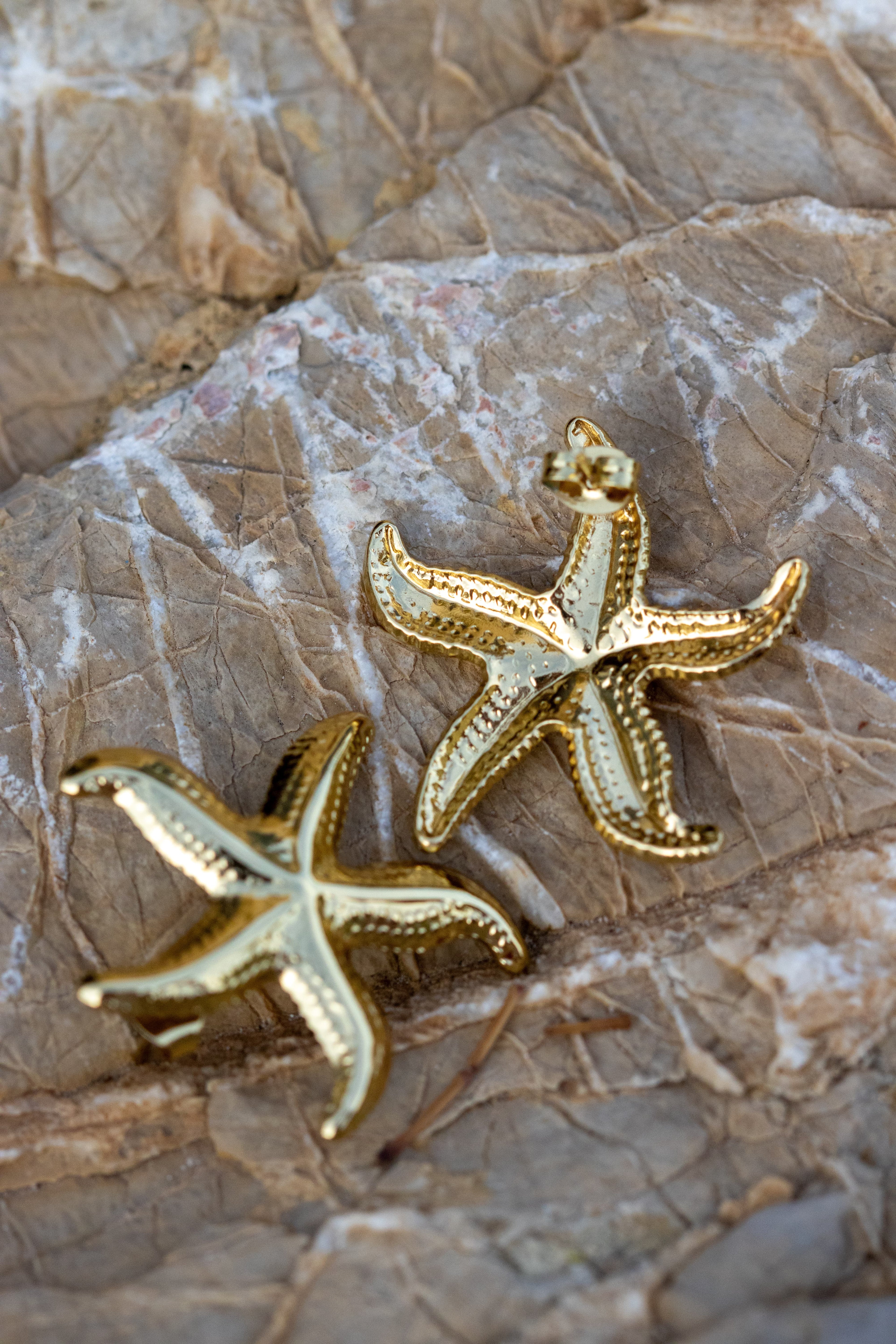 Seestern Ohrringe Gold Edelstahl – LACLARA mediterrane Mode
